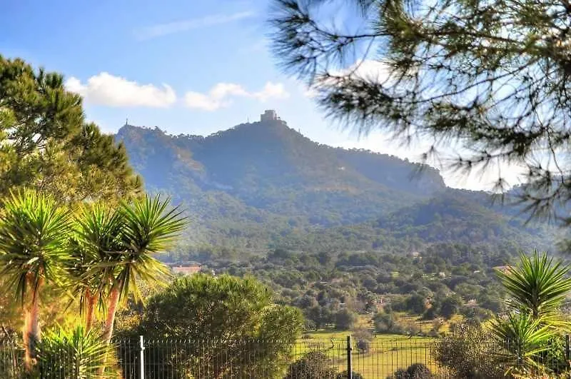 פלניטקס Finca Puig Des Call 